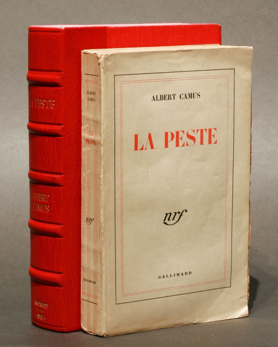 pestecamus